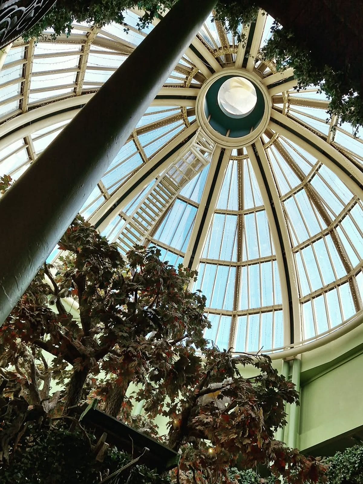 The Botanist Newcastle