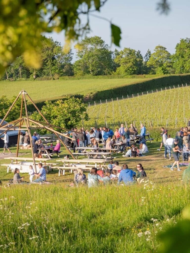 Sunny vineyard terrace at Albourne Wine Estate with picnic tables, rolling greenery and guests enjoying drinks, featured as a Newcastle hen do activity for a slower countryside day.