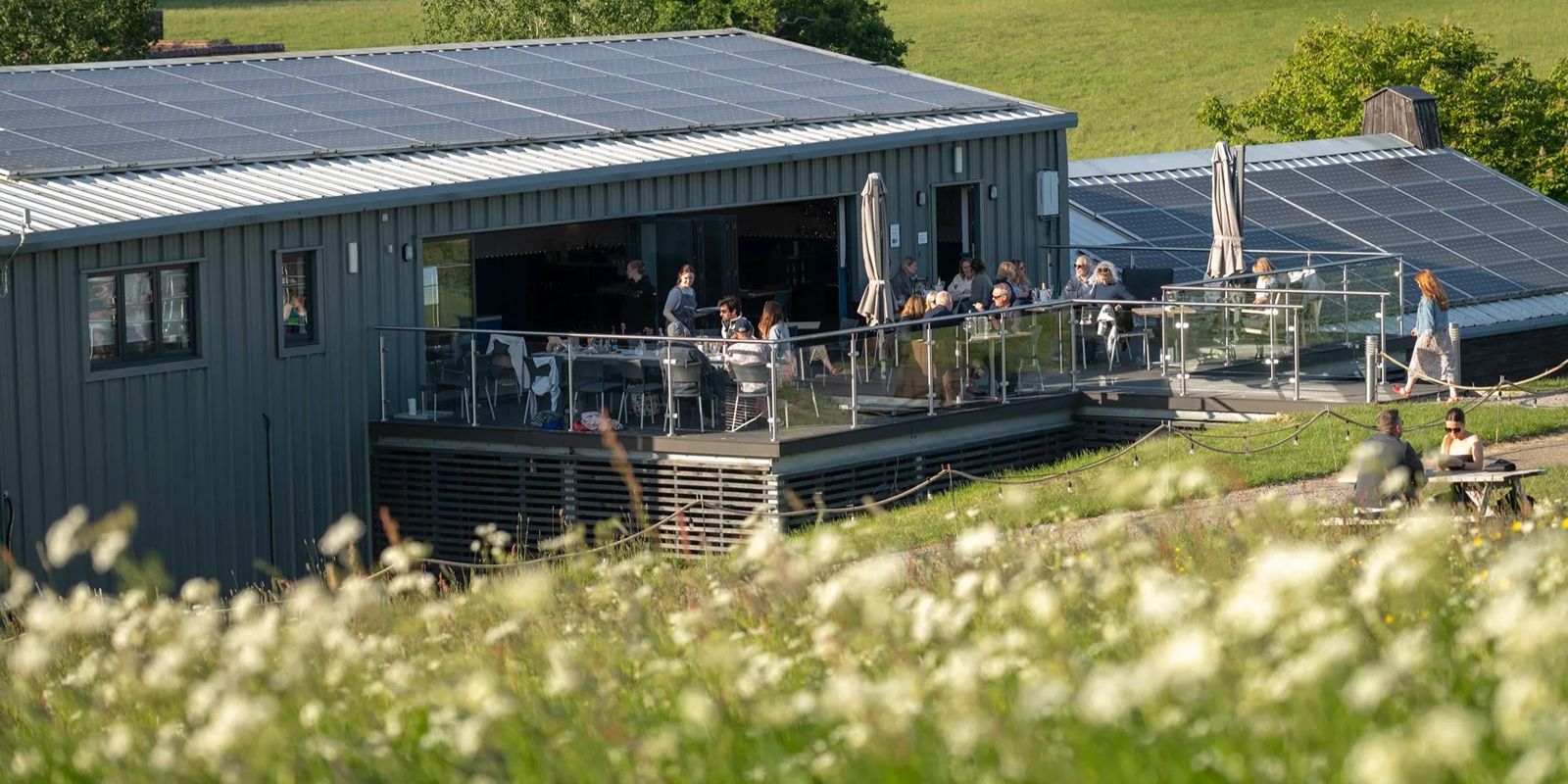 Sussex vineyard wine tasting near Brighton for a hen weekend